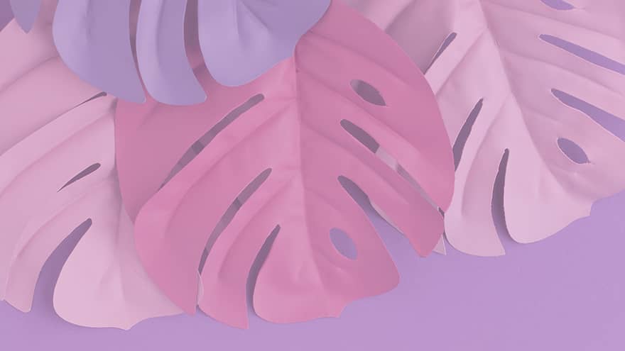 bio seaweed natural plastic