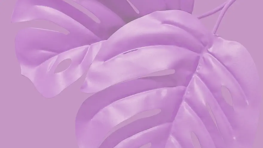 bio seaweed natural plastic